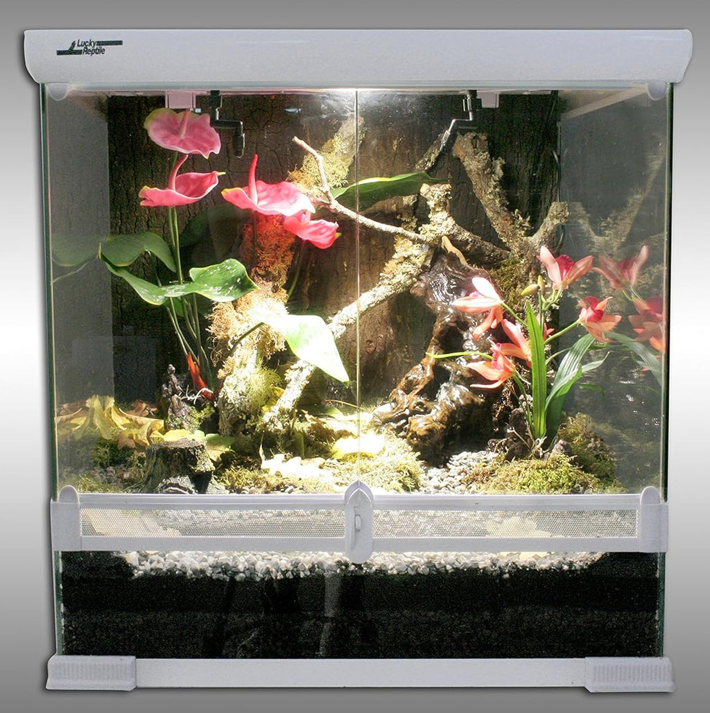 Lucky Reptile Super Rain Nano-Bewässerungssystem