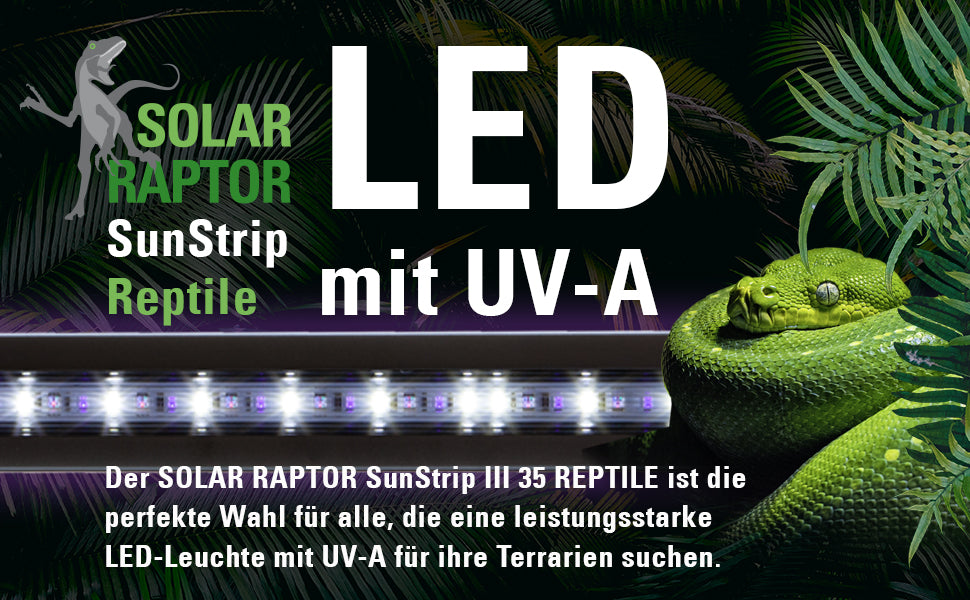 Solar Raptor SunStrip III 35 Reptile Black Edition