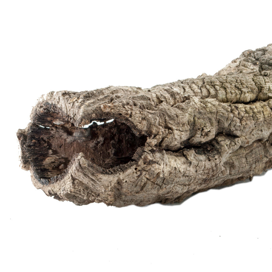 Naturkorkröhre - natürliche Dekoration für das Terrarium - korkröhren